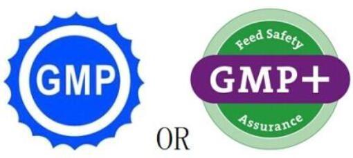 中國GMP與cGMP比較，淺談兩者的區(qū)別和要求側重點