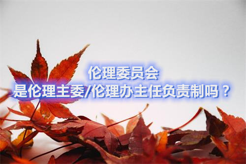 倫理委員會是倫理主委/倫理辦主任負責制嗎？(圖1)