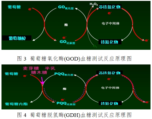 血糖儀注冊(cè)技術(shù)審查指導(dǎo)原則(2016年修訂版)(2016年第22號(hào))(圖3) 血糖儀注冊(cè)技術(shù)審查指導(dǎo)原則(2016年修訂版)(2016年第22號(hào))(圖3)