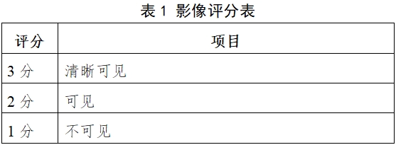 醫(yī)用X射線(xiàn)診斷設(shè)備(第三類(lèi))同品種臨床評(píng)價(jià)注冊(cè)審查指導(dǎo)原則(2023年第30號(hào))(圖1) 醫(yī)用X射線(xiàn)診斷設(shè)備(第三類(lèi))同品種臨床評(píng)價(jià)注冊(cè)審查指導(dǎo)原則(2023年第30號(hào))(圖1)