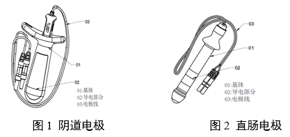 神經和肌肉刺激器用體內電極注冊審查指導原則（2024年第19號）(圖1)