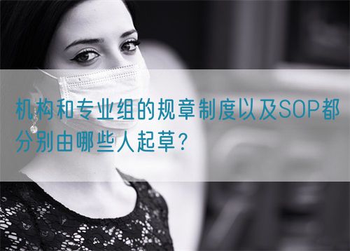 機構和專業組的規章制度以及SOP都分別由哪些人起草？(圖1)