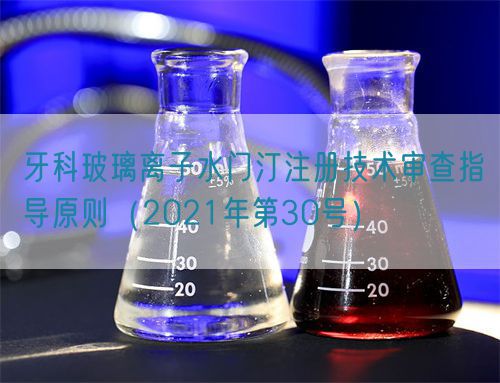 牙科玻璃離子水門汀注冊技術(shù)審查指導(dǎo)原則（2021年第30號(hào)）(圖1)