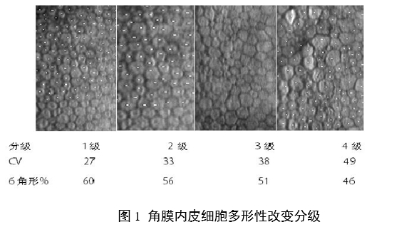 接觸鏡護理產(chǎn)品注冊審查指導原則（2023年修訂版）（2023年第9號）(圖12)