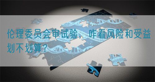 倫理委員會審試驗，咋看風(fēng)險和受益劃不劃算？(圖1)
