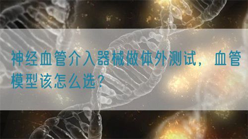 神經血管介入器械做體外測試，血管模型該怎么選？(圖1)