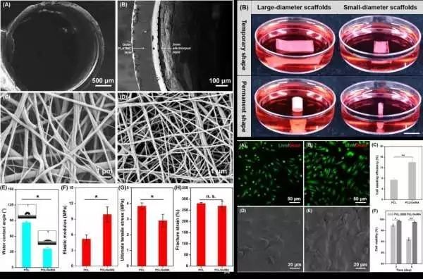 生物相容性是什么？如何準備生物相容性檢測的樣品？(圖2)