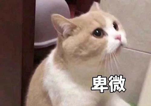 無經驗怎么入行CRA？入行CRA的硬性條件有哪些？(圖3)