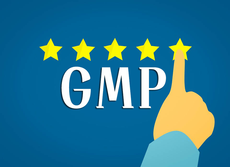 GMP知識(shí)手冊匯總（GMP專員、企業(yè)生產(chǎn)質(zhì)量負(fù)責(zé)人必備）(圖1)