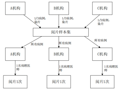 PD-L1檢測試劑臨床試驗—結果重現性研究注冊審查指導原則（2022年第27號）(圖5)